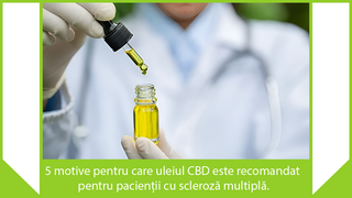 5 motive pentru care uleiul CBD este recomandat pentru pacienții cu scleroză multiplă