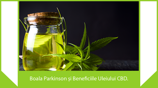 Boala Parkinson și Beneficiile Uleiului CBD