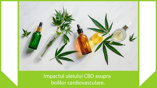 Impactul uleiului CBD asupra bolilor cardiovasculare