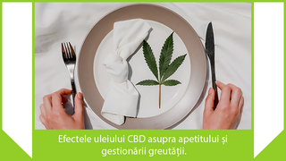 Efectele uleiului CBD asupra apetitului și gestionării greutății