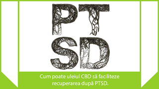 Cum poate uleiul CBD să faciliteze recuperarea după PTSD