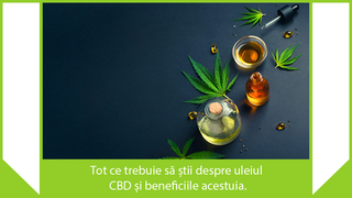 Tot ce trebuie să știi despre uleiul CBD și beneficiile acestuia