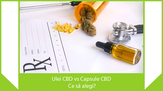 Ulei CBD vs Capsule CBD – ce sa alegi?