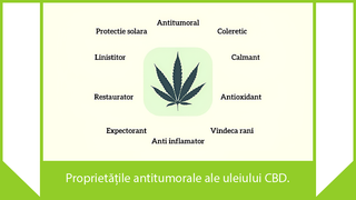 Proprietatile antitumorale ale uleiului CBD