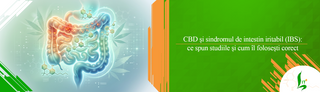 CBD și sindromul de intestin iritabil (IBS): ce spun studiile și cum îl folosești corect