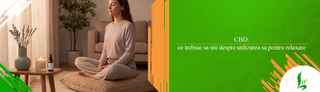 CBD: ce trebuie sa stii despre utilizarea sa pentru relaxare