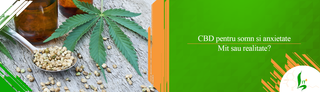 CBD pentru somn si anxietate – mit sau realitate?