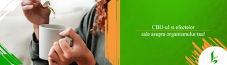 CBD-ul si efectelor sale asupra organismului tau!