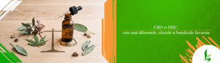 CBD vs HHC: care sunt diferentele, efectele si beneficiile fiecaruia