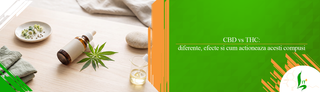 CBD vs THC: diferente, efecte si cum actioneaza acesti compusi