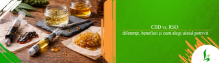 CBD vs. RSO: diferențe, beneficii și cum alegi uleiul potrivit