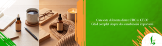 Care este diferenta dintre CBG si CBD? Ghid complet despre doi canabinoizi importanti
