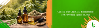 Cel Mai Bun Ulei CBD din România: Top 5 Produse Testate în 2026