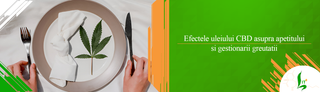 Efectele uleiului CBD asupra apetitului si gestionarii greutatii