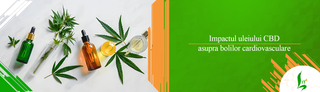 Impactul uleiului CBD asupra bolilor cardiovasculare