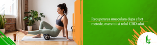 Recuperarea musculara dupa efort: metode, exercitii si rolul CBD-ului