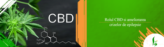 Rolul CBD si ameliorarea crizelor de epilepsie