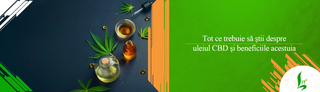 Tot ce trebuie să știi despre uleiul CBD și beneficiile acestuia