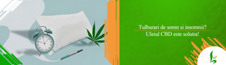 Tulburari de somn si insomnii? Uleiul CBD este solutia!