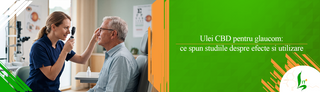 Ulei CBD pentru glaucom: ce spun studiile despre efecte si utilizare