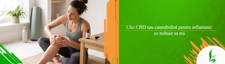 Ulei CBD sau cannabidiol pentru inflamatie: ce trebuie sa stii