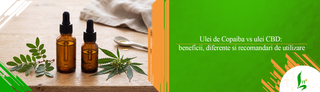 Ulei de Copaiba vs ulei CBD: beneficii, diferente si recomandari de utilizare