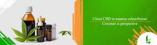 Uleiul CBD in tratarea schizofreniei: cercetari si perspective