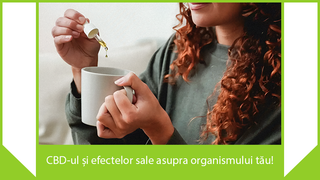 CBD-ul și efectelor sale asupra organismului tău!