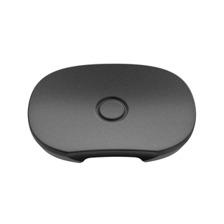 Mouthpiece 'PAX' Four | Flat - x2