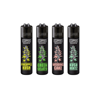 Bricheta 'CLIPPER' Plantz 6