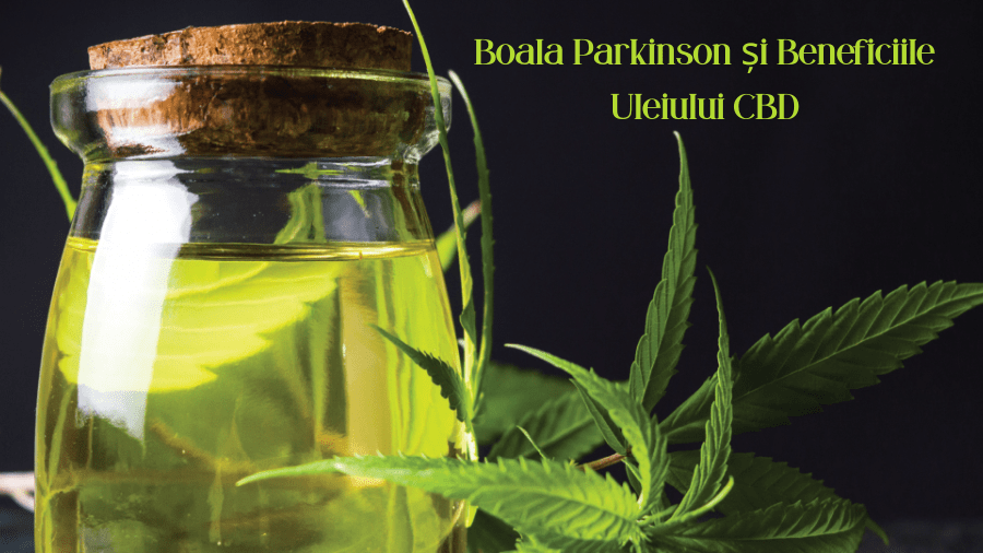 boala parkinson beneficiile uleiului CBD