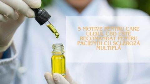 5 motive pentru care uleiul CBD este recomandat pentru pacienții cu scleroză multiplă