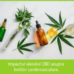 Legalize it 1 12 Impactul uleiului CBD asupra bolilor cardiovasculare