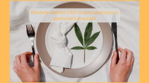 Efectele uleiului CBD asupra apetitului și gestionării greutății